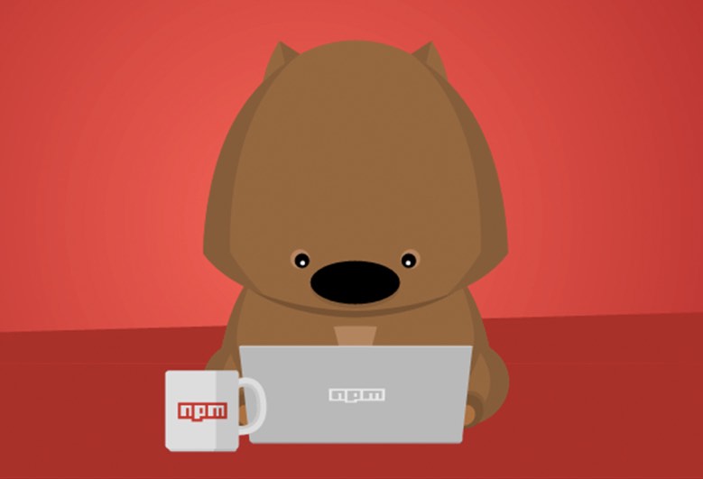NPM libraries